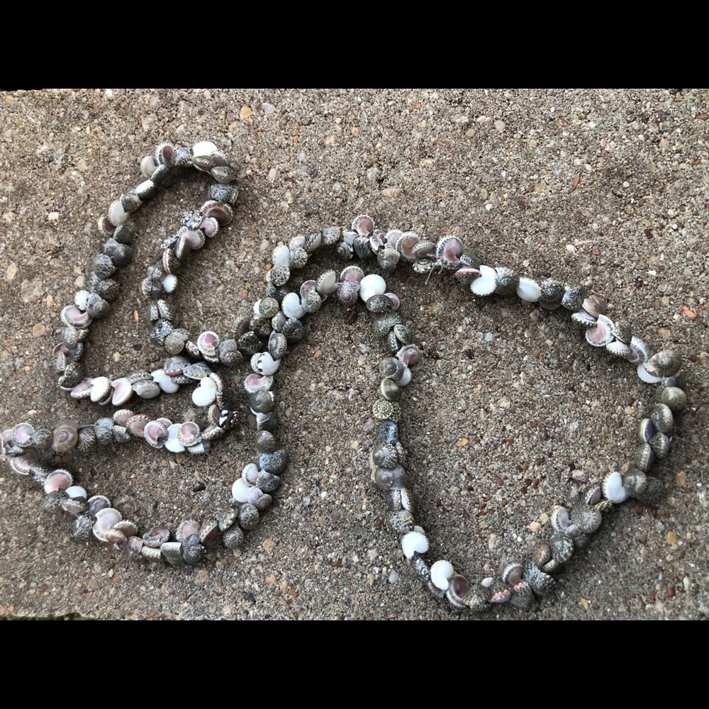 Micro Shell necklace - Picture 4 of 5